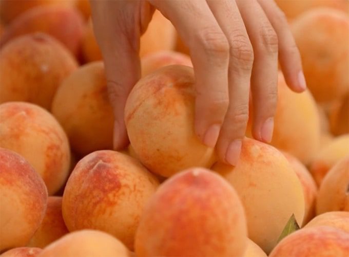 vg-about-us-image-opt