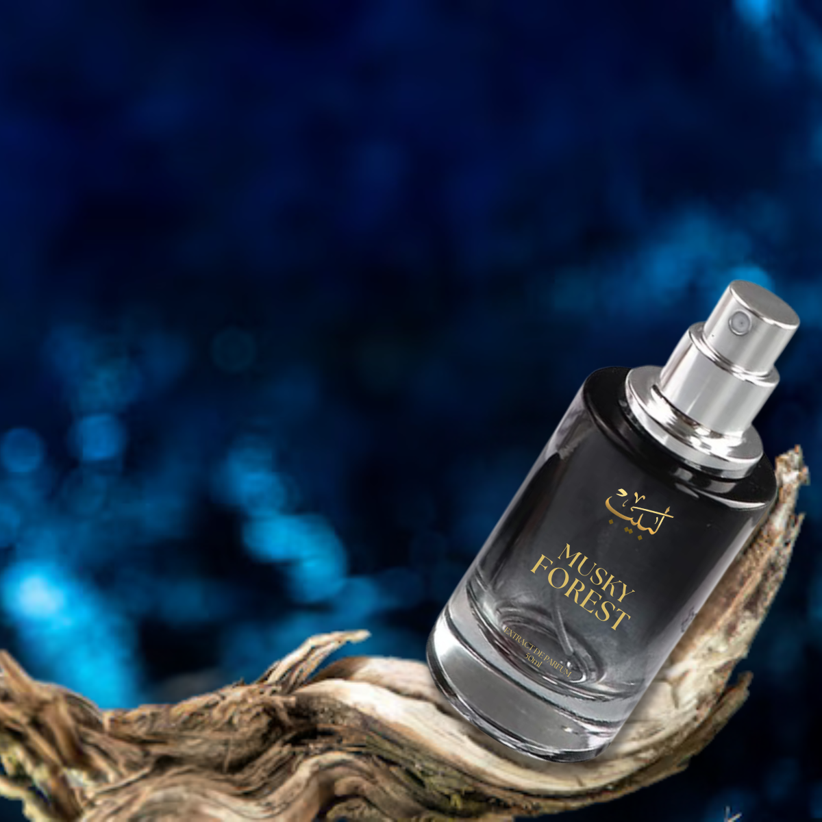 labaib categories (2)