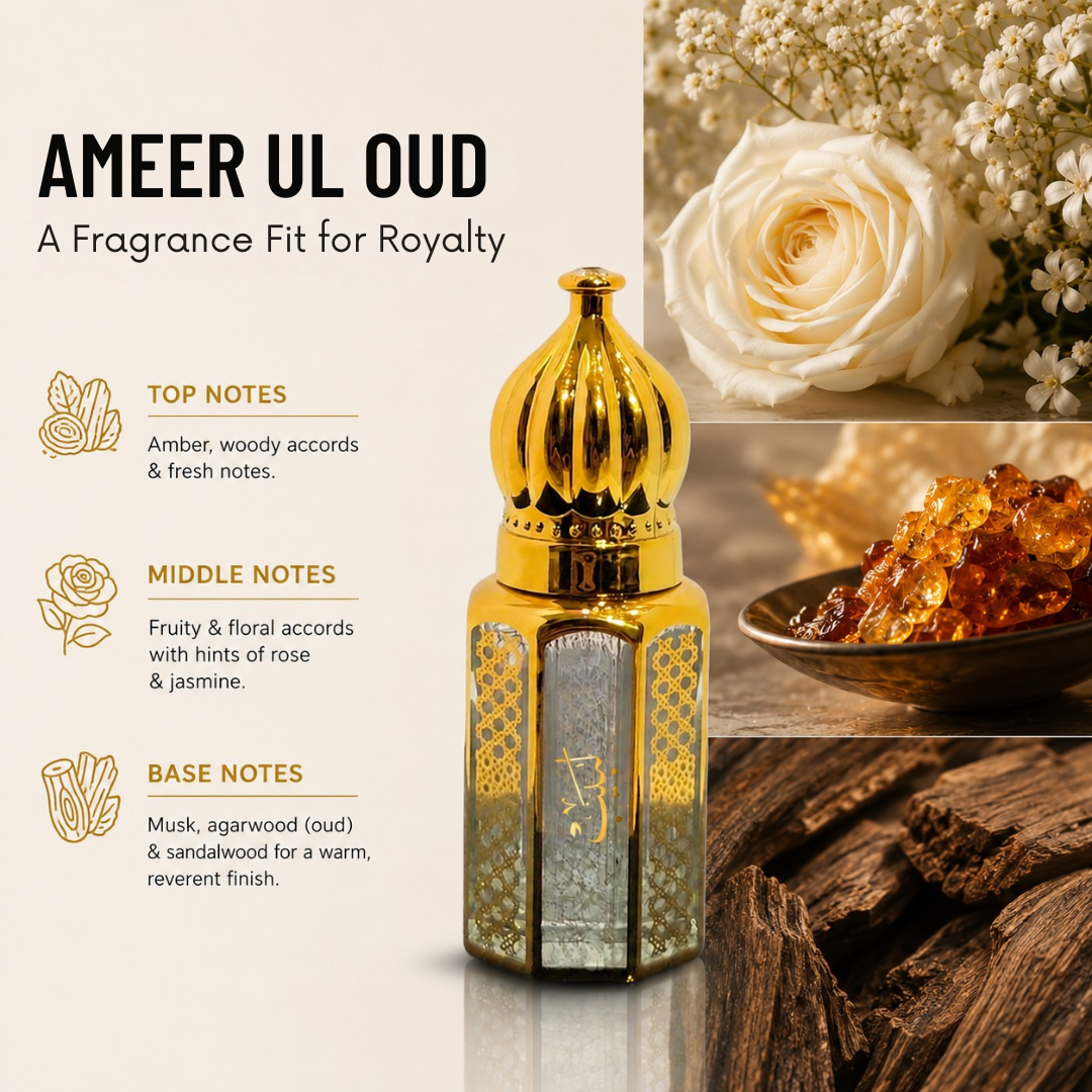 Ameer al Oud